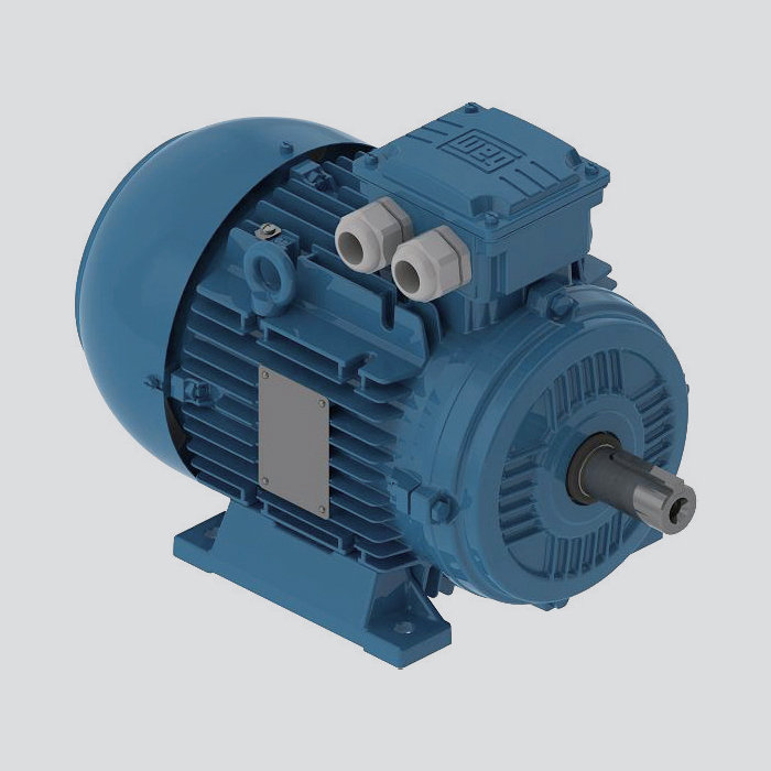 鋁殼電機(jī) W21 多電壓電機(jī)