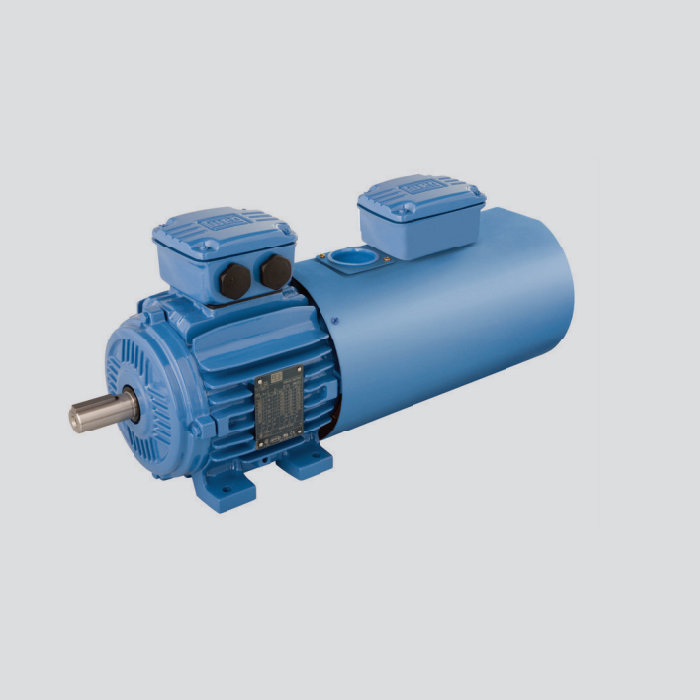 鑄鐵機座 W21 變頻電機