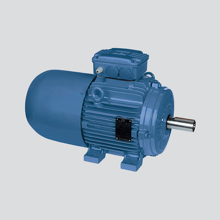 鑄鐵機座 W21 制動電機