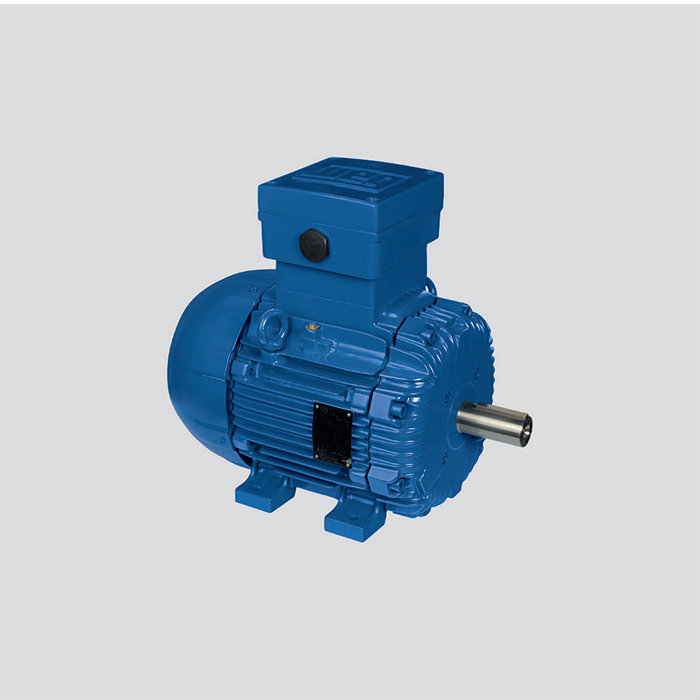 鑄鐵機座Exd-Ex-de防爆電機