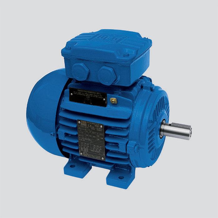 鑄鐵機座-Exe-增安型電機