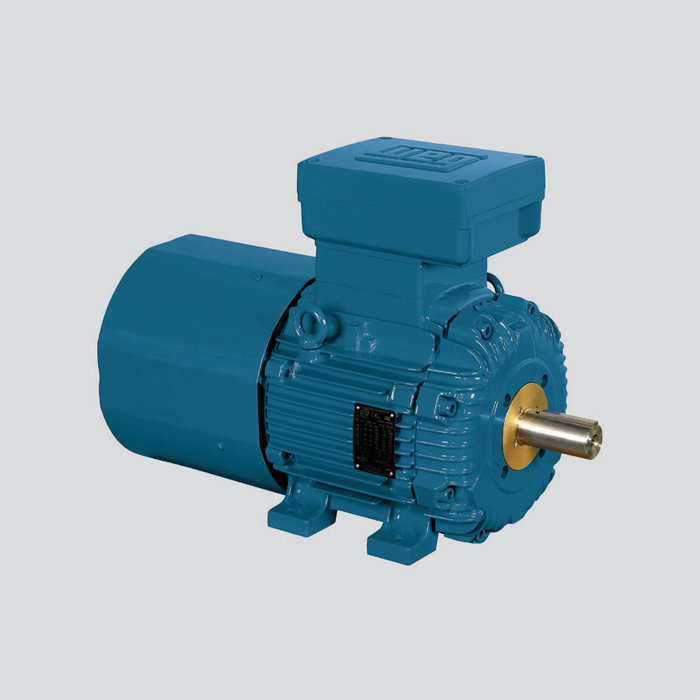 鑄鐵機座 Ex d Brake – 制動防爆電機