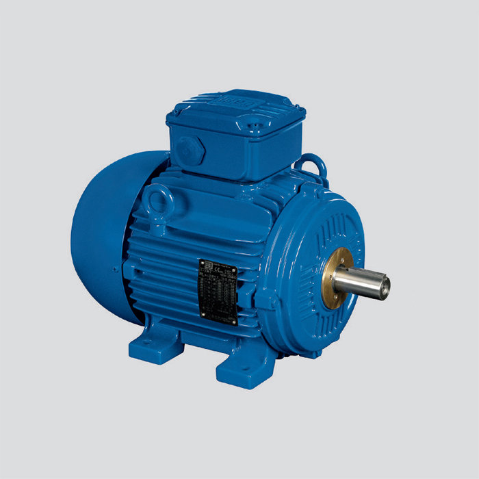 鑄鐵機座 Zone21 粉塵防爆電機